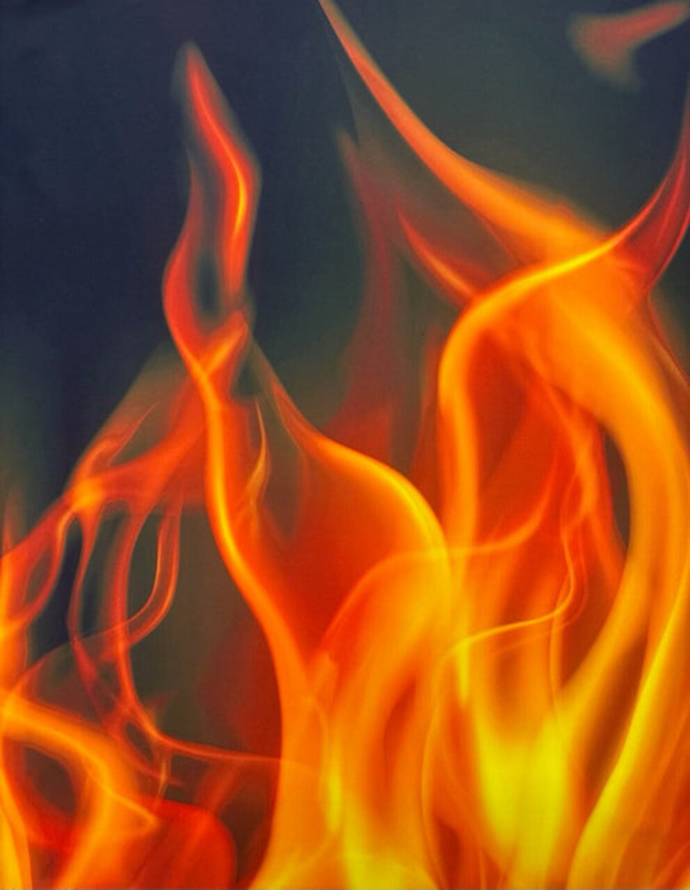 1 Yard 80% Polyester 20% Spandex Flame Print Spandex Fabric 58/60 Inches Wide for Swimwear and Activewear